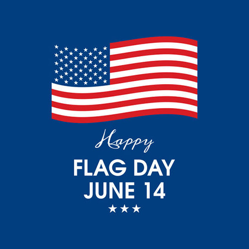 Flag Day Icon 1