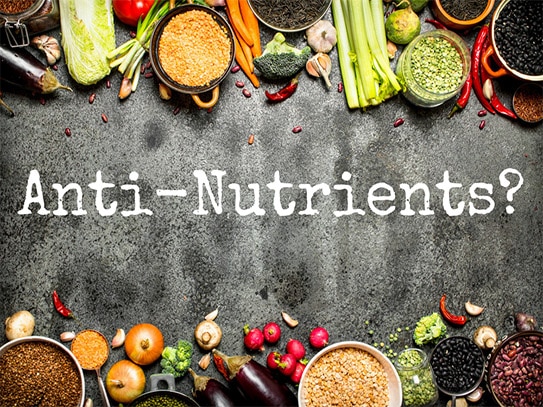 What are Anti-Nutrients and What Do They Mean to Our Health?