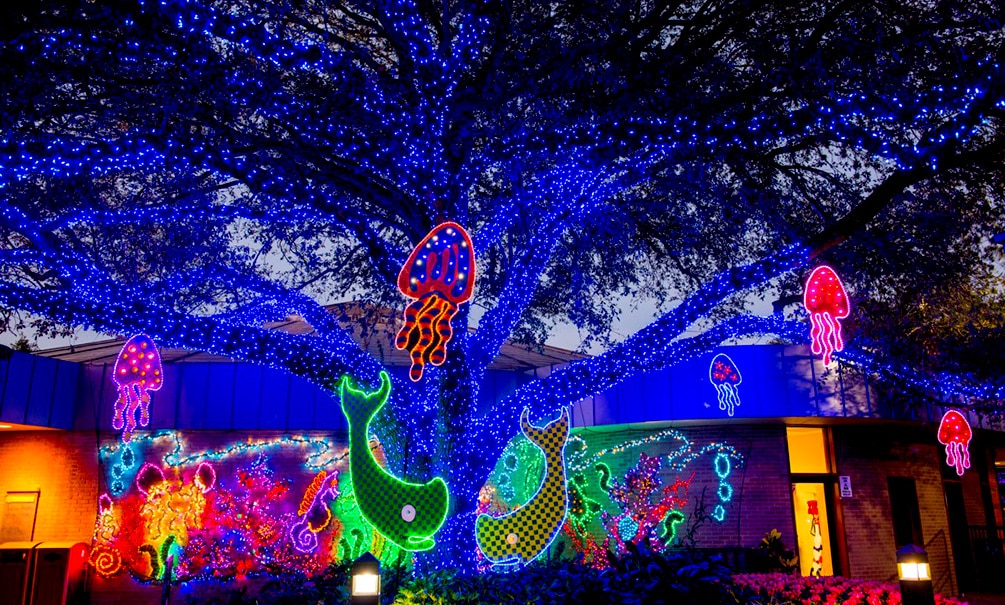 Zoo Lights10 Retouched