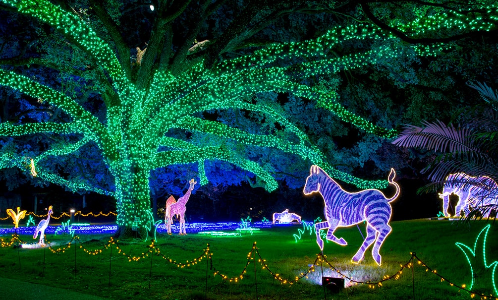 Zoo Lights11 Retouched