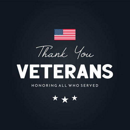 Veterans Day Icon 1