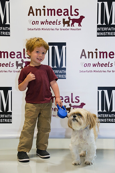 Our Youngest Model Caleb With Grady The Dog In The Jet Set Pets Fashion Show Reduced