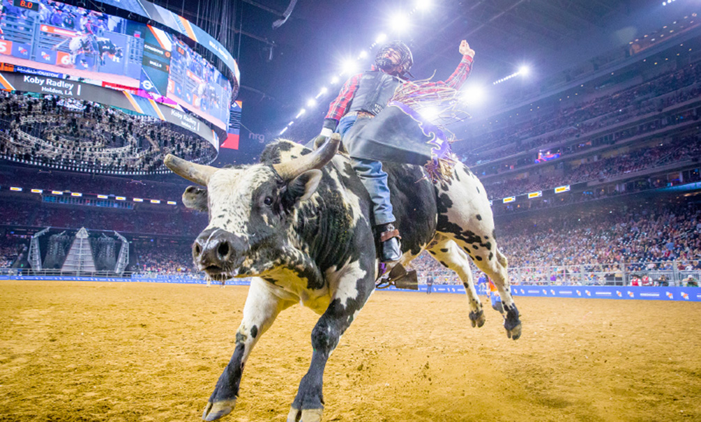 Bull Riding Photo By Houston Livestock Show And Rodeo