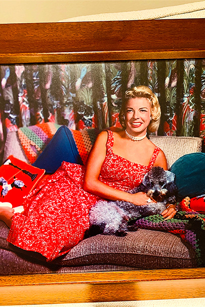 Joan Lyons Reclined In Red Dress