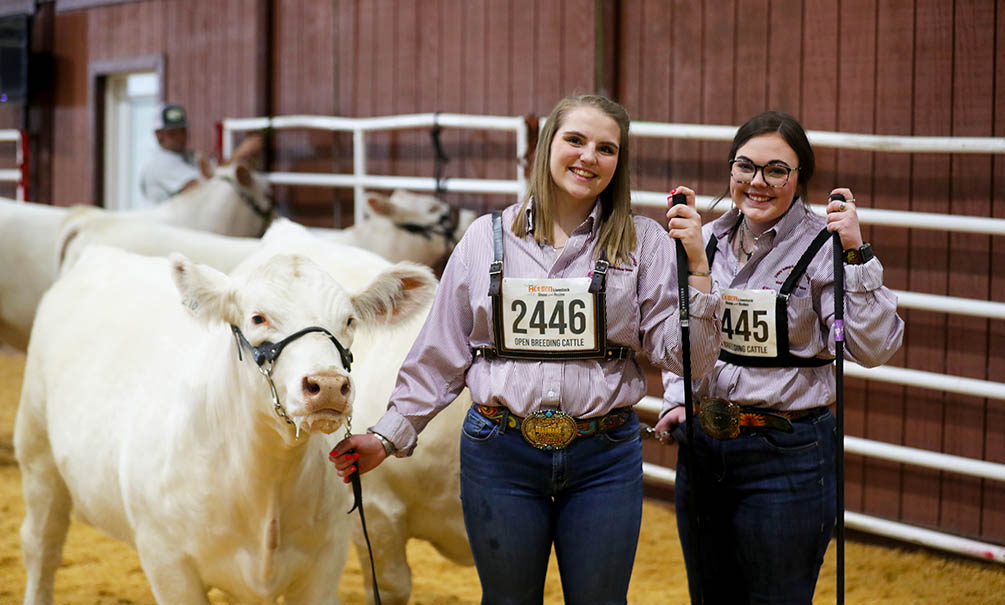 Students Vying For Scholarships By Raising Livestock Photo Courtesy Of Houston Livestock Show And Rodeo