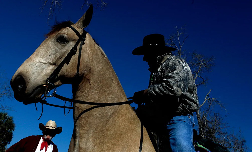 Texas Equusearch With Horses Photo Courtesy Of The Gainesville Sun Texas Equusearch With Horses Photo Courtesy Of The Gainesville Sun