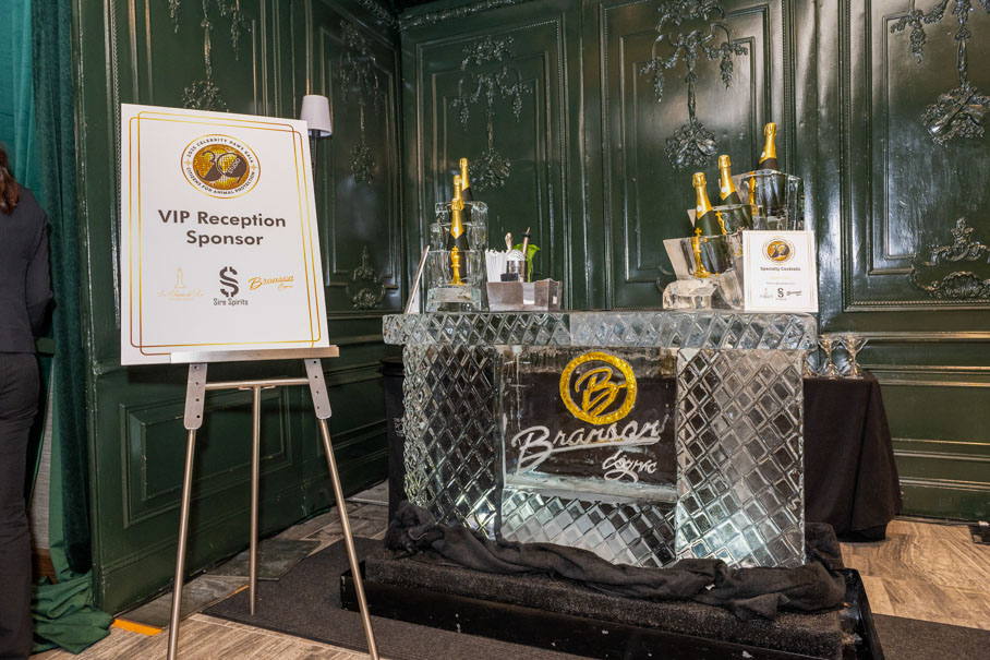 Ice Bar Sponsored By Sire Spirits Photo By Jacob Power