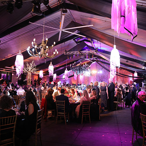 Howl O Ween Ball Cropped Photo By Priscilla Dickson